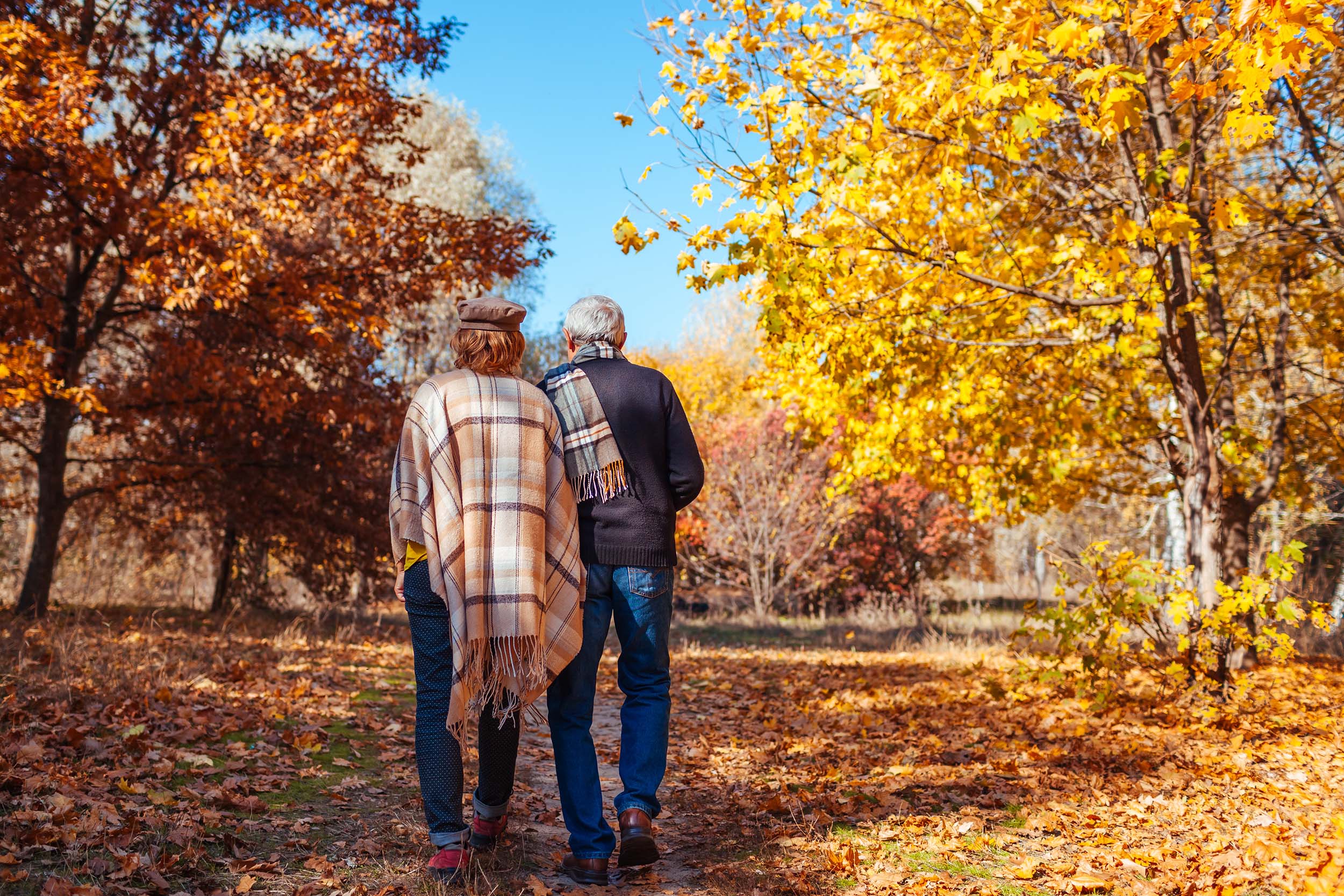 Senior family couple walking in autumn park.