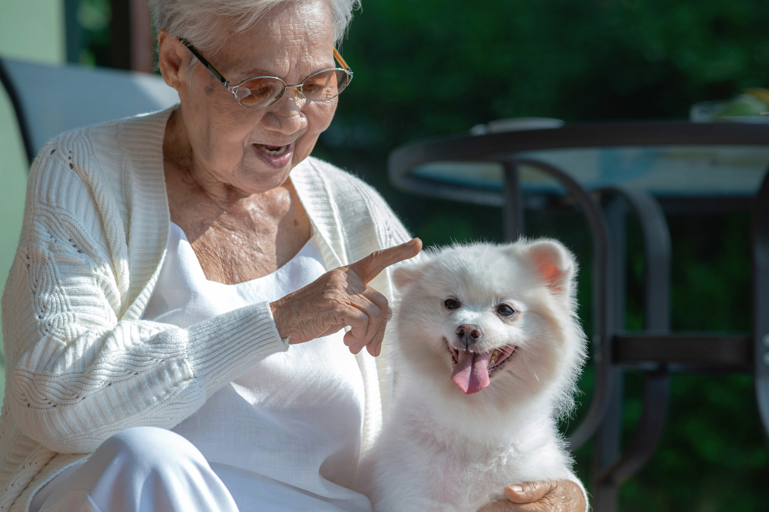 Memory Care Pet Therapy